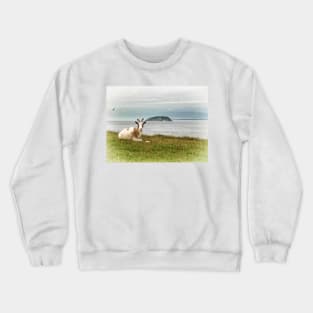 Goat Relaxing on Brean Down, Somerset art. British landscape Crewneck Sweatshirt